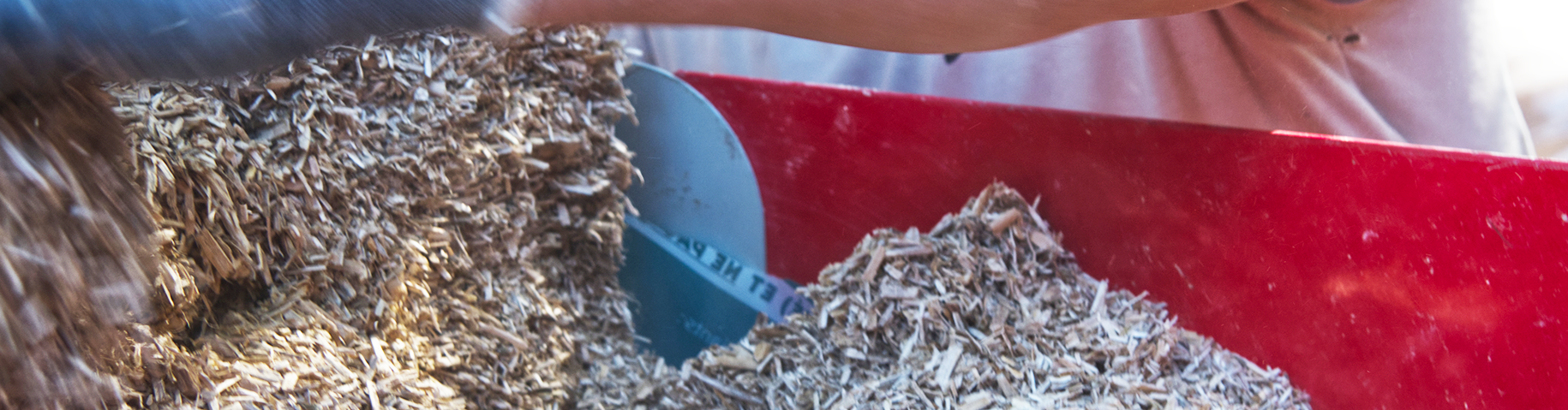 Hanf in der Maschine