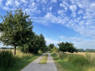 Gang durch Wiesen und Felder in unmittelbarer Nähe
